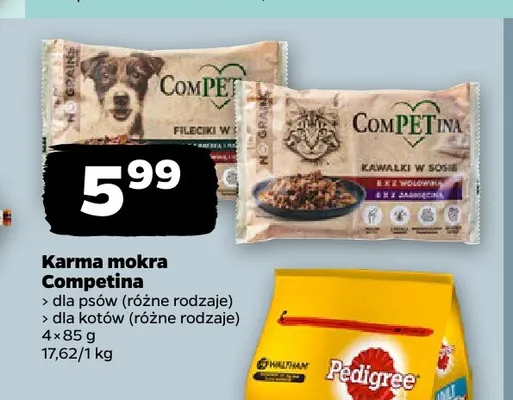 Karma mokra dla kotów Competina 4-pak promocja w Netto
