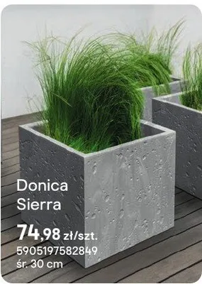 Donica Sierra promocja w Castorama