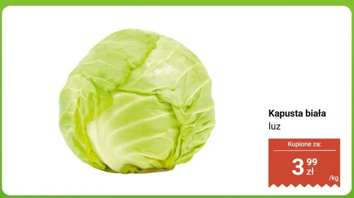 Kapusta biała luz promocja w Biedronka