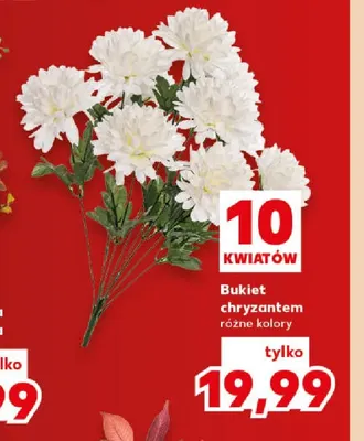 Bukiet chryzantem promocja w Kaufland