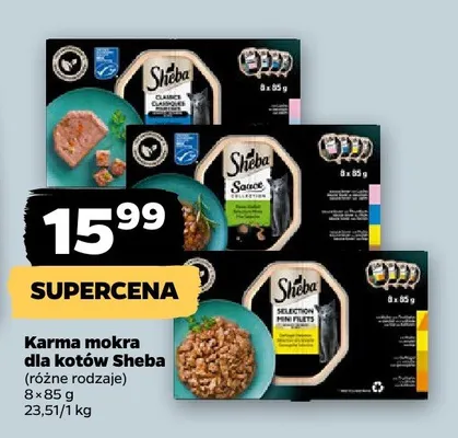 Karma mokra dla kotów promocja w Netto