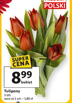 Tulipany promocja w Auchan