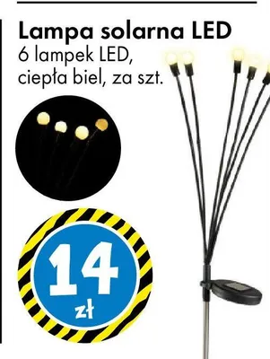 Lampa solarna LED 6 lampek LED ciepła biel promocja w Tedi