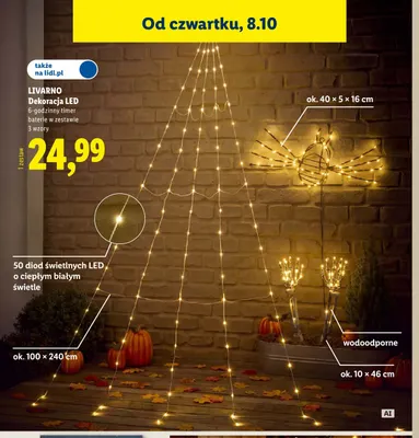Dekoracja LED Livarno promocja w Lidl