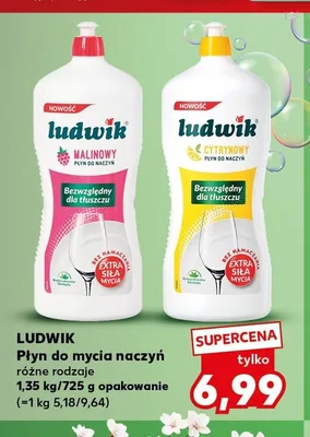 Płyn do mycia naczyń Ludwik malinowy promocja w Kaufland