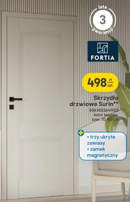 Skrzydło drzwiowe Surin promocja w Castorama