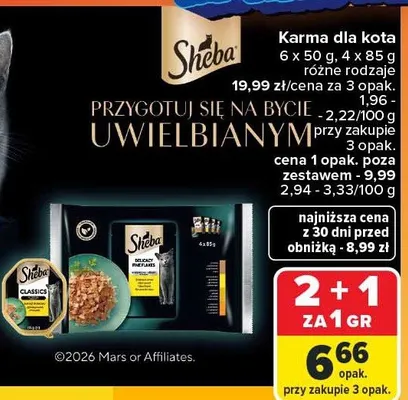Karma dla kota w sosie z drobiem Kitty promocja w Carrefour