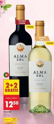 Wino czerwone Medium Sweet promocja w Biedronka