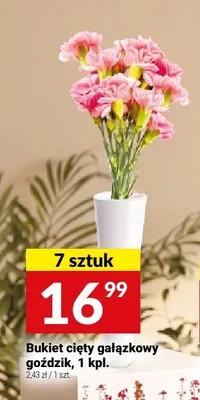 Bukiet cięty gałązkowy goździk promocja w Twój Market