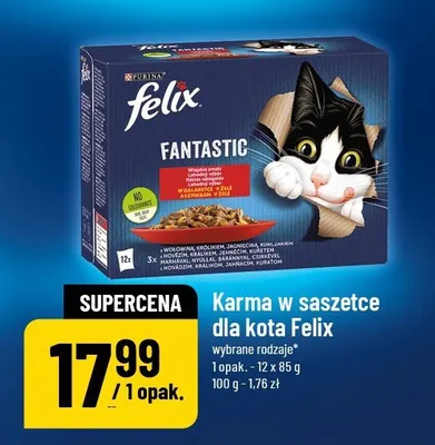 Karma w saszetce dla kota Felix Fantastic Junior promocja w POLOmarket