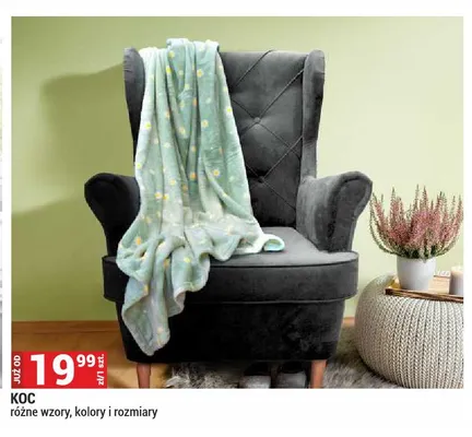 Koc promocja w Merkury Market