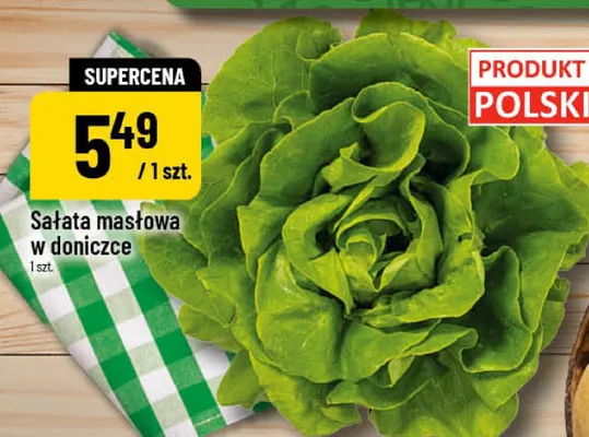 Sałata masłowa w doniczce promocja w POLOmarket