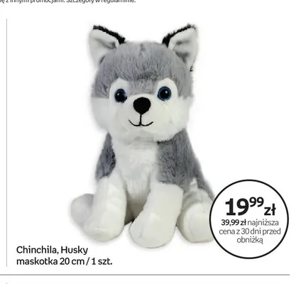 Maskotka Husky Chinchila 20 cm promocja w Empik