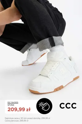 Buty męskie DC Shoes Stag promocja w CCC