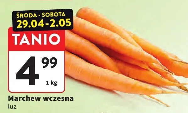 Marchew wczesna luz promocja w Intermarche
