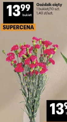 Goździk cięty bukiet promocja w Delikatesy Centrum