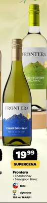 Wino Frontera Chardonnay wytrawne promocja w Netto