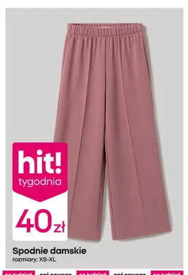 Spodnie damskie promocja w Pepco