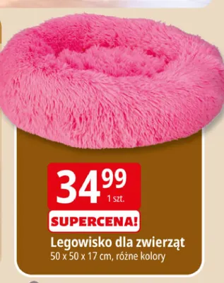 Legowisko dla zwierząt promocja w Leclerc