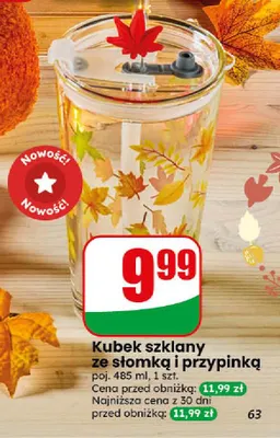 Kubek szklany ze słomką i przypinką 485 ml promocja w Dino