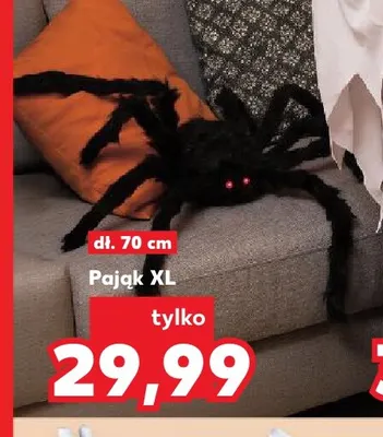Pająk Xl promocja w Kaufland