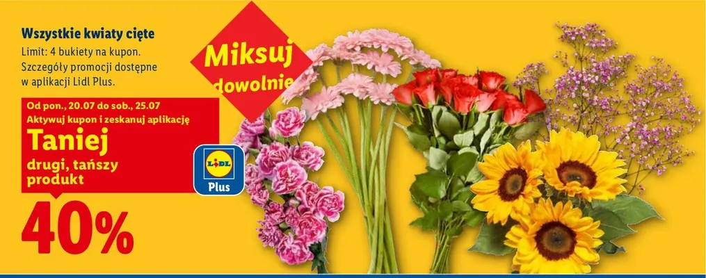Kwiaty cięte promocja w Lidl