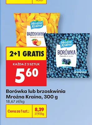 Borówka mrożona promocja w Biedronka