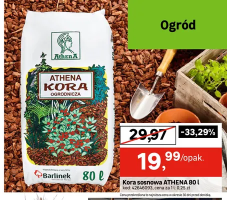 Kora sosnowa Athena promocja w Leroy Merlin