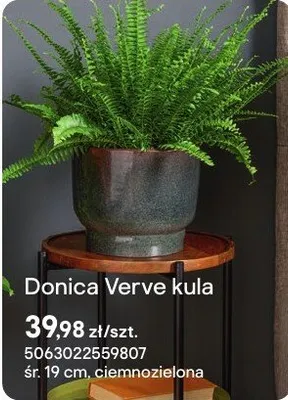 Donica Verve kula ciemnozielona promocja w Castorama