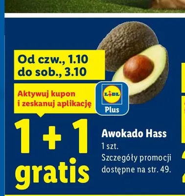 Awokado Hass promocja w Lidl
