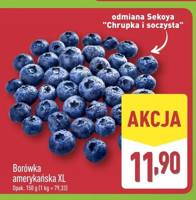 Borówka amerykańska XL Sekoya promocja w Aldi