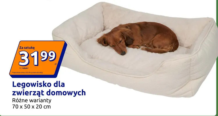 Legowisko dla zwierząt domowych 70x50x20 cm promocja w Action