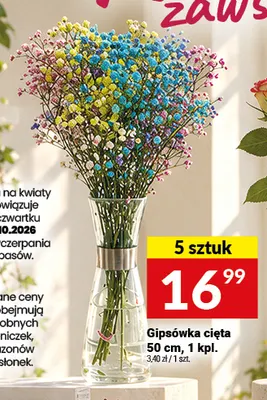 Gipsówka cięta 50 cm promocja w Twój Market
