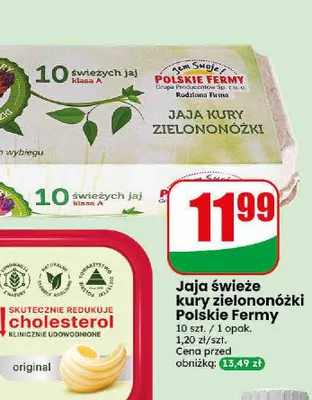 Jaja świeże kury zielononóżki Polskie Fermy 10-pak promocja w Dino