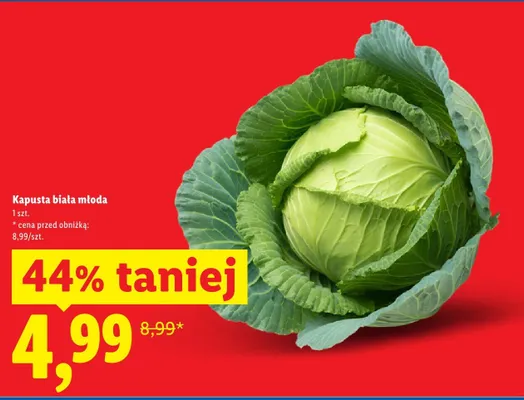 Kapusta biała młoda Lidl promocja w Lidl