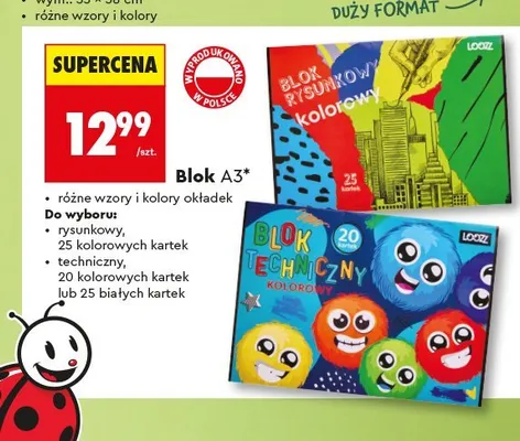 Blok rysunkowy A3 LOOZZ 25 kolorowych kartek promocja w Biedronka