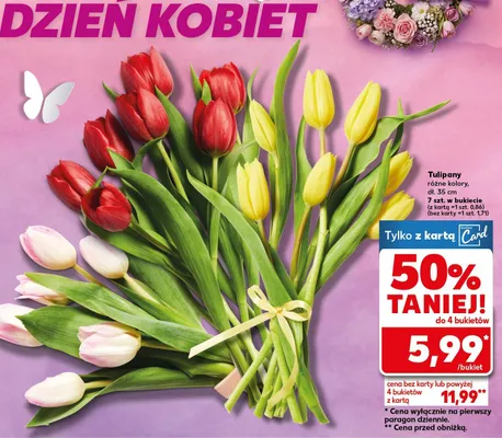 Tulipany różne kolory promocja w Kaufland