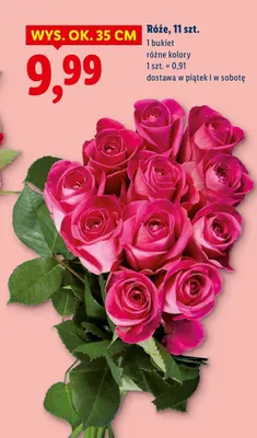 Róże 11 szt. różne kolory promocja w Lidl