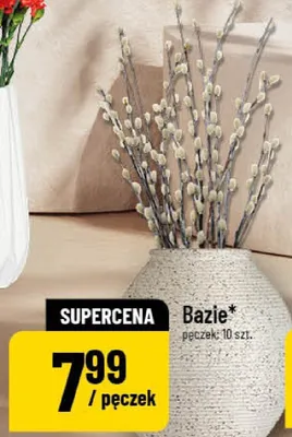 Bazie promocja w POLOmarket
