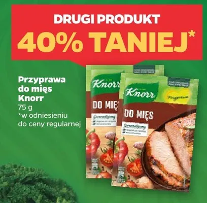 Przyprawa do mięs Knorr promocja w Netto
