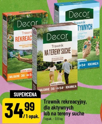Trawnik dla aktywnych Decor promocja w POLOmarket