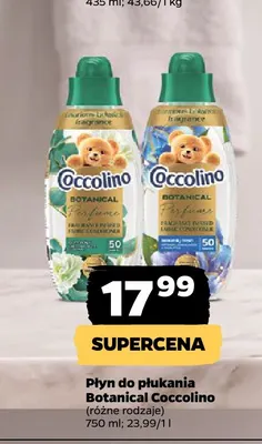 Płyn do płukania blue splash Coccolino promocja w Netto