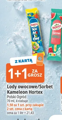 Lody owocowe Kameleon Hortex promocja w Leclerc