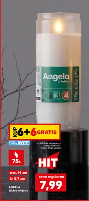 Wkład olejowy Angela promocja w Kaufland