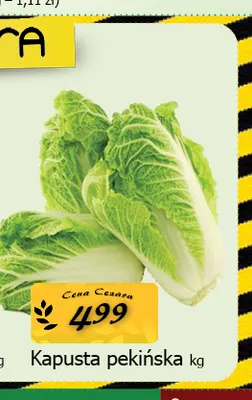 Kapusta pekińska promocja w CEZAR Delikatesy