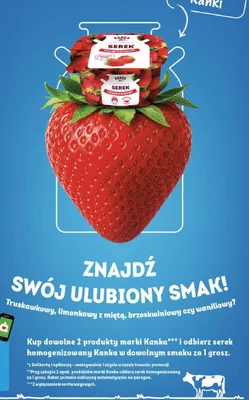 Serek homogenizowany Kanka brzoskwiniowy promocja w Delikatesy Centrum