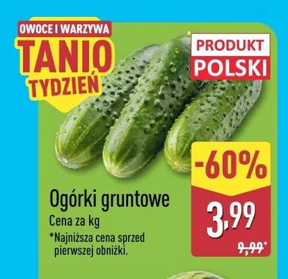 Ogórki gruntowe promocja w Aldi