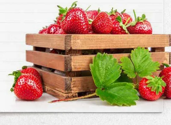 Katalog ogród, strona 126 promocja w Bricomarche