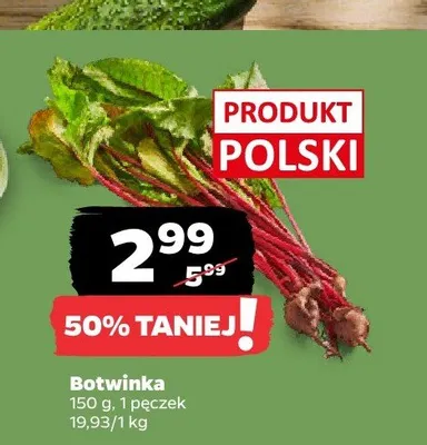 Botwinka polska promocja w Netto