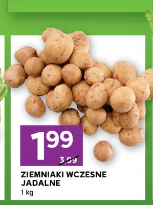 Ziemniaki wczesne jadalne promocja w Stokrotka